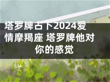 塔罗牌占卜2024爱情摩羯座 塔罗牌他对你的感觉