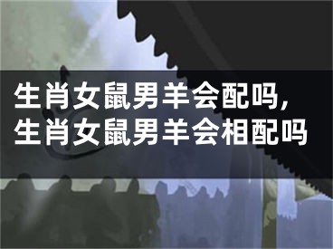 生肖女鼠男羊会配吗,生肖女鼠男羊会相配吗