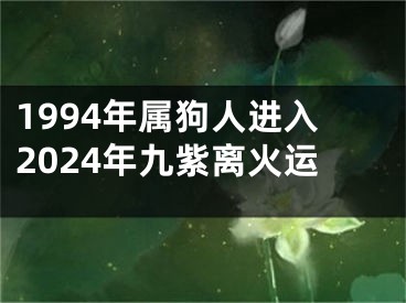 1994年属狗人进入2024年九紫离火运