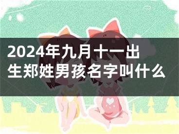 2024年九月十一出生郑姓男孩名字叫什么