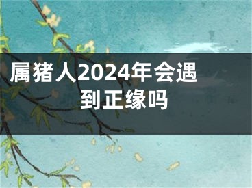 属猪人2024年会遇到正缘吗