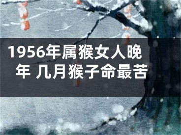 1956年属猴女人晚年 几月猴子命最苦
