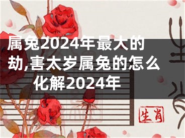 属兔2024年最大的劫,害太岁属兔的怎么化解2024年