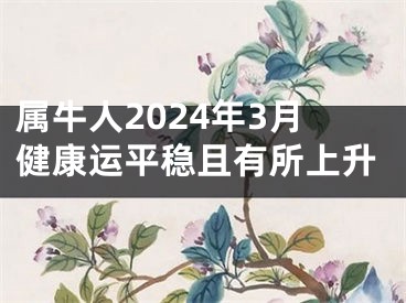 属牛人2024年3月健康运平稳且有所上升