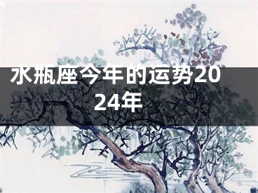水瓶座今年的运势2024年