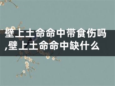 壁上土命命中带食伤吗,壁上土命命中缺什么