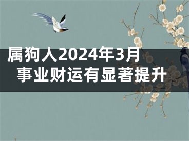 属狗人2024年3月事业财运有显著提升