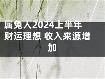 属兔人2024上半年财运理想 收入来源增加