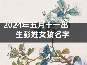 2024年五月十一出生彭姓女孩名字