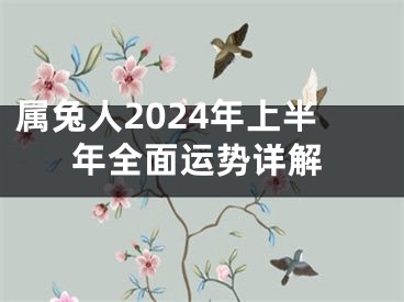 属兔人2024年上半年全面运势详解