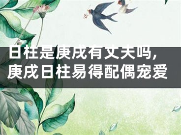 日柱是庚戌有丈夫吗,庚戌日柱易得配偶宠爱