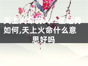 天上火命的人一生运势如何,天上火命什么意思好吗