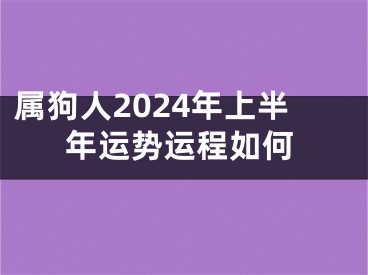 属狗人2024年上半年运势运程如何