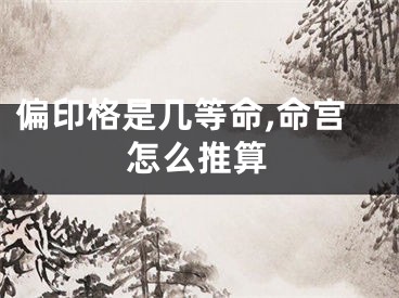 偏印格是几等命,命宫怎么推算