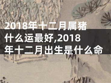 2018年十二月属猪什么运最好,2018年十二月出生是什么命