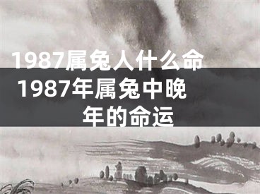 1987属兔人什么命 1987年属兔中晚年的命运