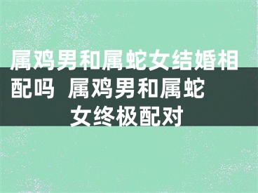 属鸡男和属蛇女结婚相配吗  属鸡男和属蛇女终极配对