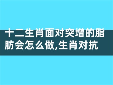 十二生肖面对突增的脂肪会怎么做,生肖对抗
