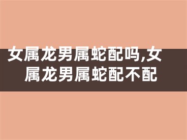 女属龙男属蛇配吗,女属龙男属蛇配不配