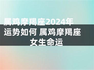 属鸡摩羯座2024年运势如何 属鸡摩羯座女生命运
