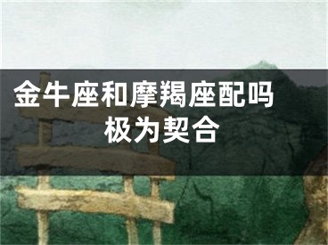 金牛座和摩羯座配吗 极为契合