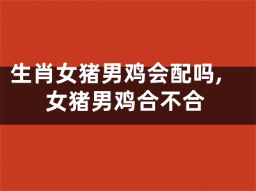 生肖女猪男鸡会配吗,女猪男鸡合不合
