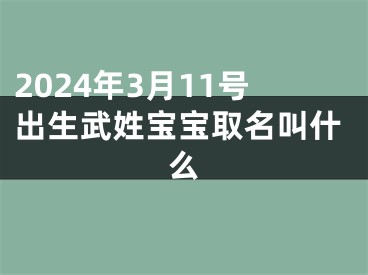 2024年3月11号出生武姓宝宝取名叫什么