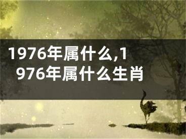 1976年属什么,1976年属什么生肖