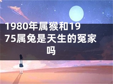 1980年属猴和1975属兔是天生的冤家吗 