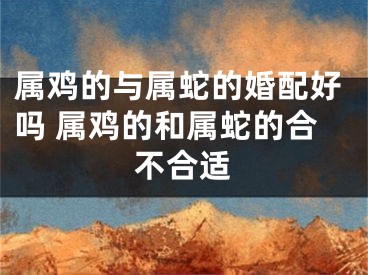 属鸡的与属蛇的婚配好吗 属鸡的和属蛇的合不合适