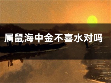 属鼠海中金不喜水对吗