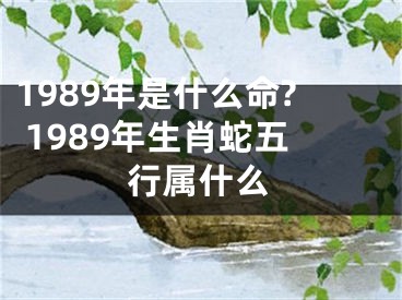 1989年是什么命? 1989年生肖蛇五行属什么