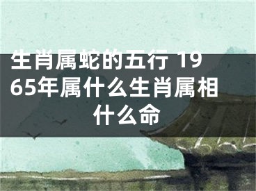 生肖属蛇的五行 1965年属什么生肖属相什么命