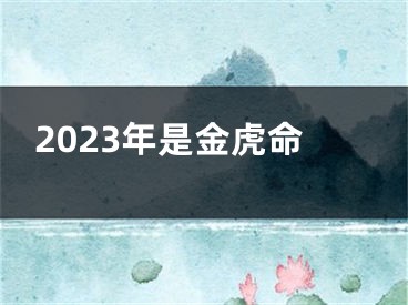 2023年是金虎命