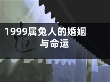 1999属兔人的婚姻与命运