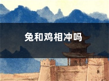 兔和鸡相冲吗