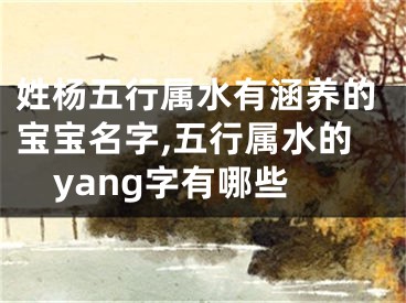 姓杨五行属水有涵养的宝宝名字,五行属水的yang字有哪些