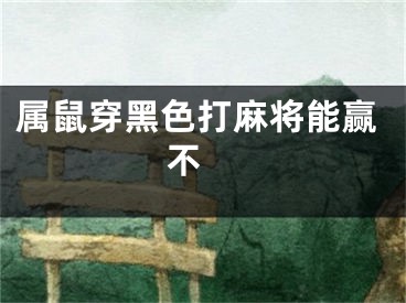 属鼠穿黑色打麻将能赢不 