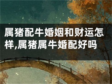 属猪配牛婚姻和财运怎样,属猪属牛婚配好吗