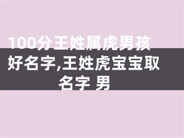 100分王姓属虎男孩好名字,王姓虎宝宝取名字 男
