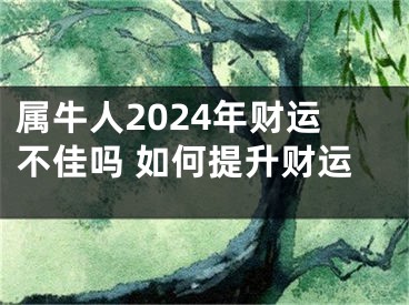 属牛人2024年财运不佳吗 如何提升财运