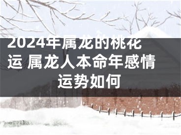 2024年属龙的桃花运 属龙人本命年感情运势如何