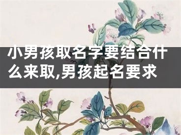 小男孩取名字要结合什么来取,男孩起名要求