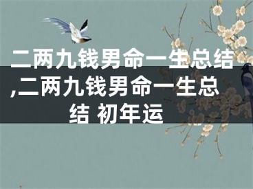 二两九钱男命一生总结,二两九钱男命一生总结 初年运