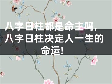 八字日柱都是命主吗,八字日柱决定人一生的命运!