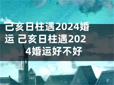 己亥日柱遇2024婚运 己亥日柱遇2024婚运好不好