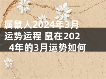 属鼠人2024年3月运势运程 鼠在2024年的3月运势如何