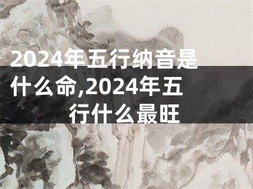 2024年五行纳音是什么命,2024年五行什么最旺