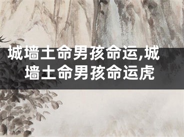 城墙土命男孩命运,城墙土命男孩命运虎