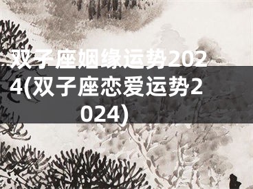 双子座姻缘运势2024(双子座恋爱运势2024)